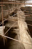 IR04-05-12a.jpg