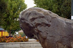 IR04-06-09a.jpg